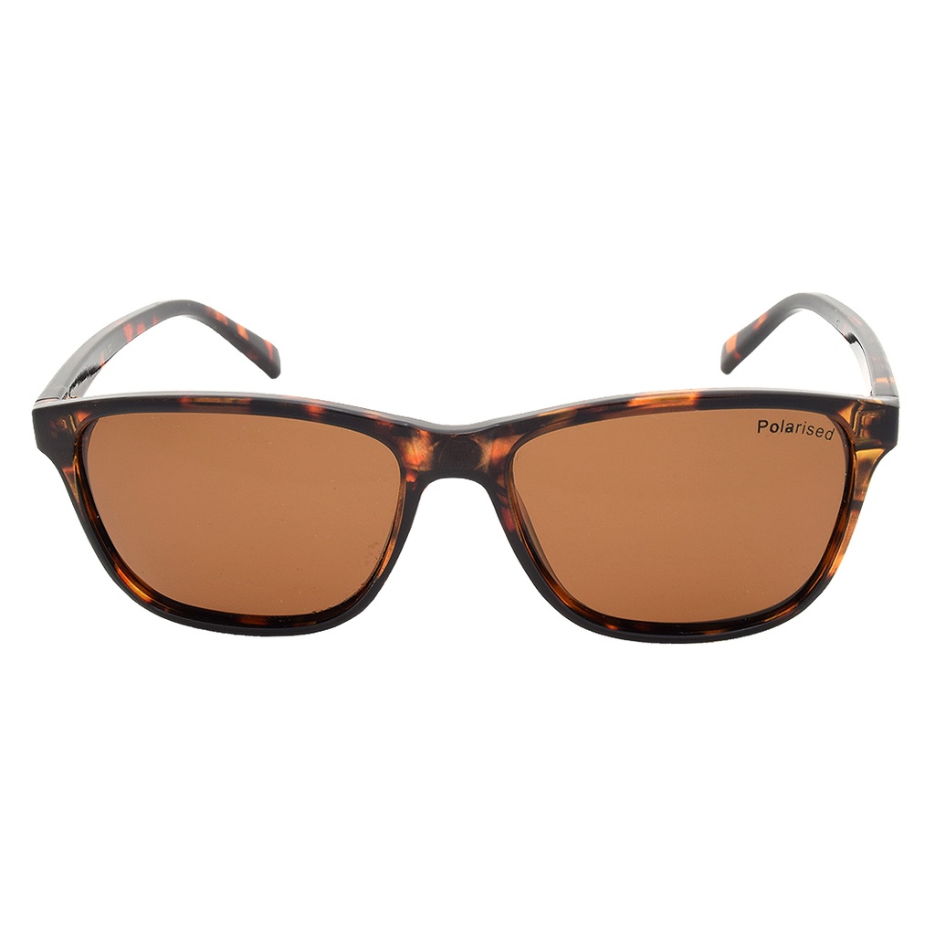 Stiletto April C2 Dark Tortoise / Brown Polarised Lenses