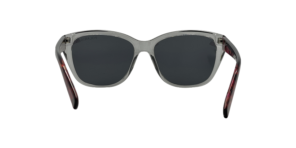 Stiletto Coral C7 Crystal Smoke w Brown Gold Stripe / Smoke Polarised Lenses