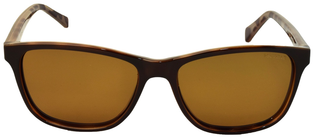 Stiletto Stella C3 Dark Tortoise / Brown Polarised Lenses