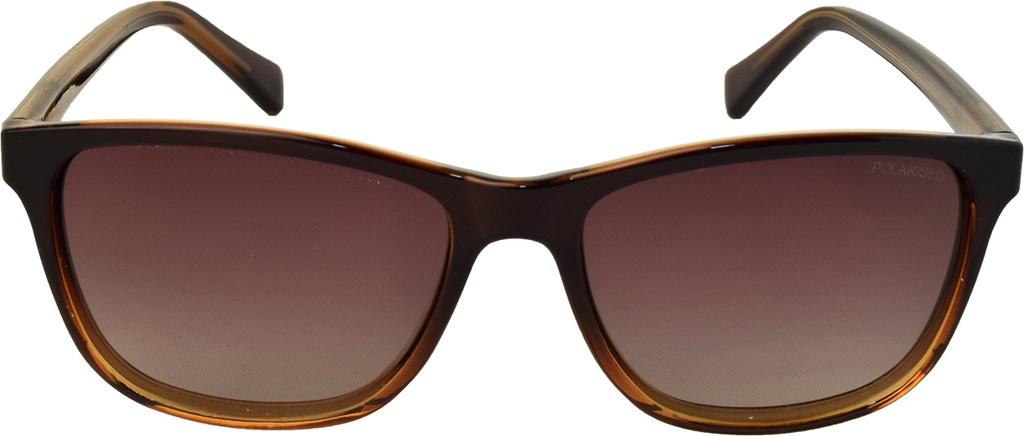 Stiletto Stella C5 Crystal Brown / Smoke Gradient Polarised Lenses