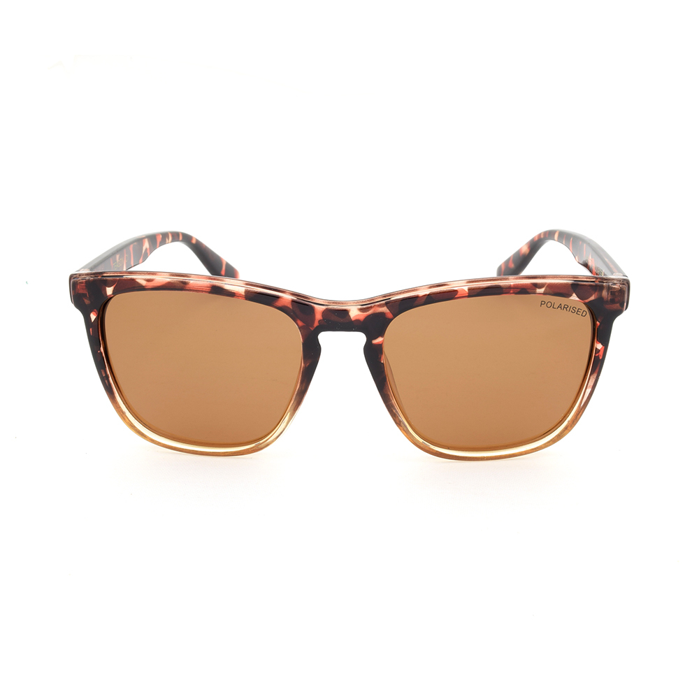 Stiletto Teagon C1 Multi-Colour Tortoise Frame / Brown Polarised Lenses