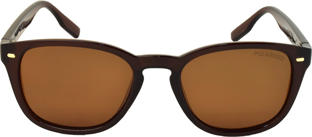 Stiletto Zoe C2 Crystal Dark Brown Light Gold / Brown Polarised Lenses