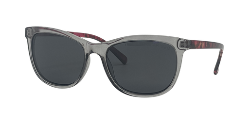 [9340457028716] Stiletto Ariel C7 Crystal Smoke w Brown Gold Stripe / Smoke Polarised Lenses